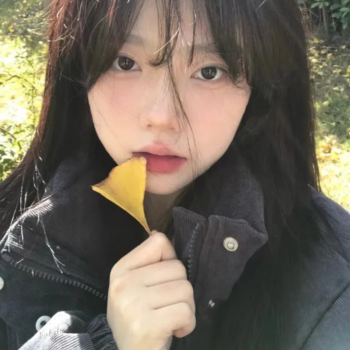 黄色小屋的记忆